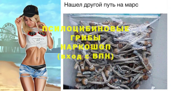 индика Алексеевка