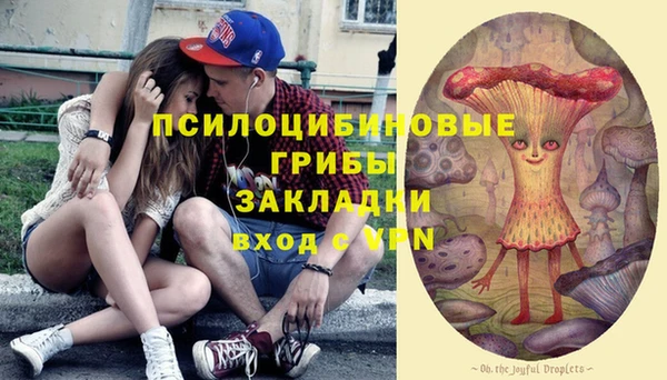 бутират Алзамай