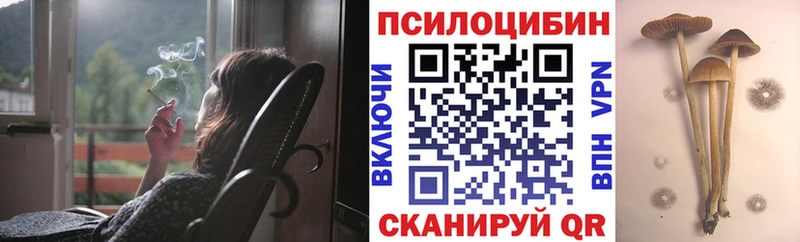 Псилоцибиновые грибы Magic Shrooms  Оханск 